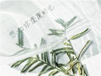 在手機上怎么賺錢？打造IP是長久賺錢的不二法門！